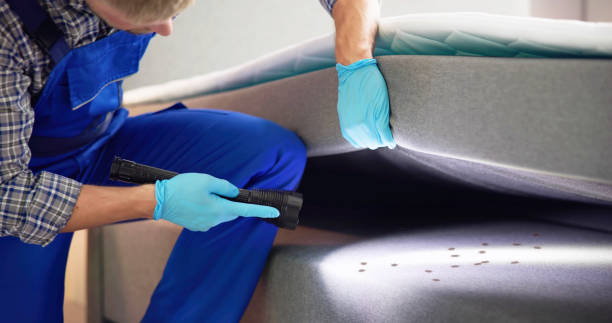 Best Cockroach Control Services  in Wilton Manors, FL